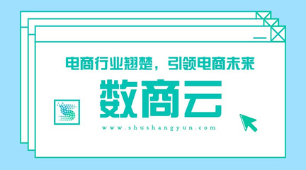 数商云丨电商行业翘楚,引领电商未来